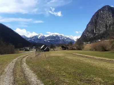 a dirt road in a field with mountains in the background at Apartments & Rooms Stare in Bohinj