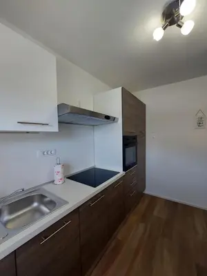 a kitchen with a sink and a counter top at Apartments Marica in Kranjska Gora