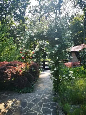 a garden with a arch with white roses at Holiday Home - Goričko Park in Kobilje