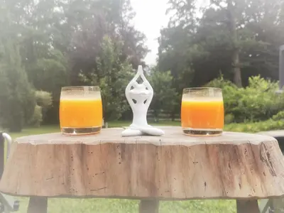 two glasses of orange juice sitting on a wooden table at Holiday Home - Goričko Park in Kobilje