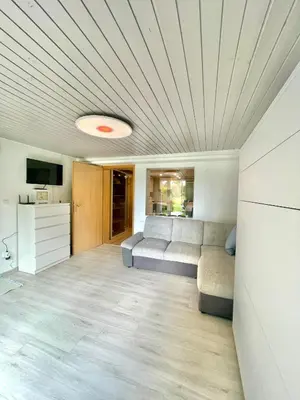 a living room with a couch and a tv at Čebelnk: sanjska hišica 4 km od Bleda in Lesce