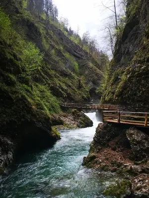 a wooden bridge over a river in a canyon at Kiara Apartments & Rooms in Jesenice