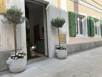 two potted plants sitting on the side of a building at RITUAL in Ajdovščina