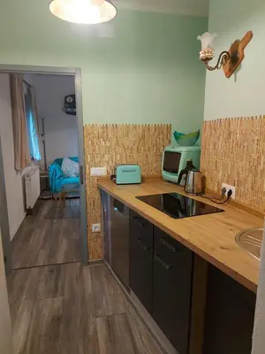a kitchen with a sink and a counter top at Pr' Šovarjo in Zgornje Gorje