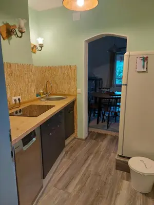 a kitchen with a sink and a refrigerator at Pr' Šovarjo in Zgornje Gorje
