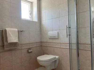 a bathroom with a toilet and a glass shower at Vila Mir - Apartment in Begunje na Gorenjskem