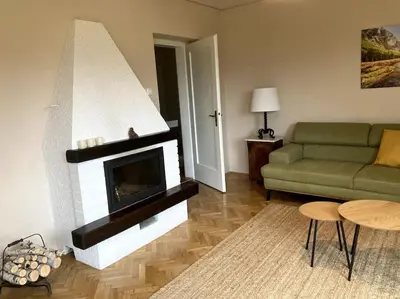 a living room with a couch and a fireplace at Vila Mir - Apartment in Begunje na Gorenjskem