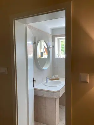 a bathroom with a sink and a mirror at Vila Mir - Apartment in Begunje na Gorenjskem