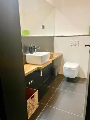 a bathroom with a sink and a toilet at MEGA in Prvačina
