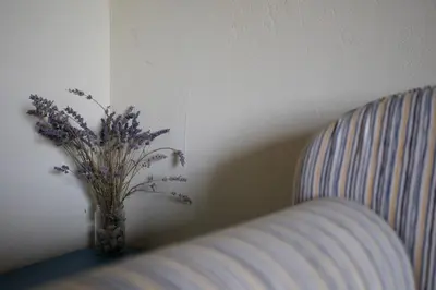 a vase filled with purple flowers sitting next to a couch at Farmstay Kmetija Štekar in Kojsko