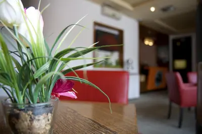 a plant in a vase sitting on a table at Gold Club Hotel & Casino in Ajdovščina