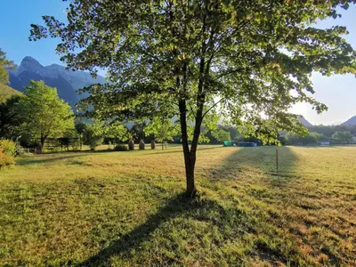 a tree in the middle of a field at Glamping Narnia in Bovec