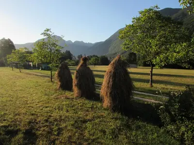 a group of hay bales sitting in a field at Glamping Narnia in Bovec