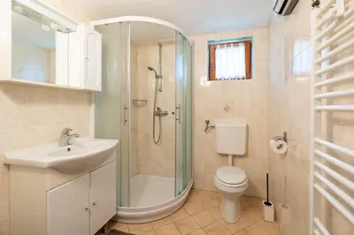 a bathroom with a toilet and a shower and a sink at Apartma Boltar in Bohinj