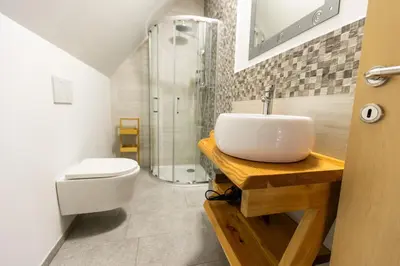 a bathroom with a sink and a toilet at Apartmaji pri Dravi in Podvelka