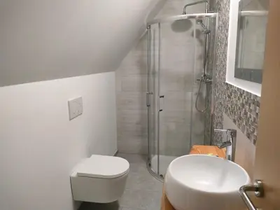 a bathroom with a shower and a toilet and a sink at Apartmaji pri Dravi in Podvelka