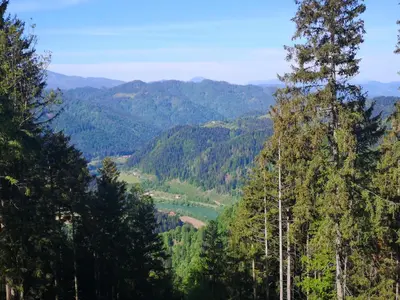a view of a valley in the mountains with trees at Apartmaji pri Dravi in Podvelka