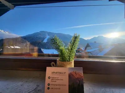 a potted plant sitting in front of a window at APARTMA 27 in Kranjska Gora