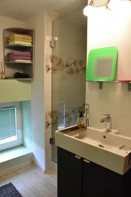 a bathroom with a sink and a glass shower at Apartma Silvia in Metlika