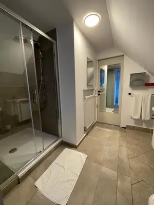 a bathroom with a shower and a glass shower stall at AB Ljubljana - Breg Apartments in Ljubljana