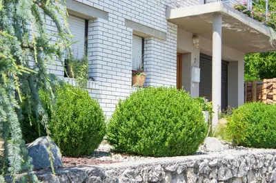a house with bushes in front of it at Apartment Karlie in Rogaška Slatina