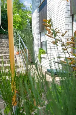a green dog sitting on the side of a building at Apartment Karlie in Rogaška Slatina