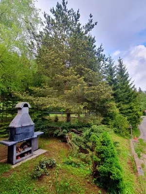 a outdoor oven in a field next to a road at Chalet Anita Rogla in Zreče