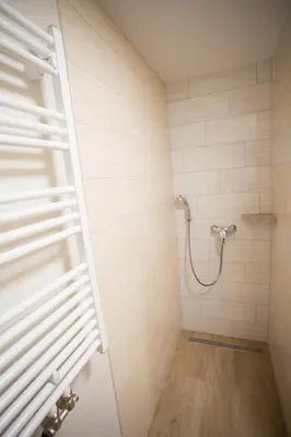 a bathroom with a shower with a ladder in it at APARTMAJI HUBI in Bled