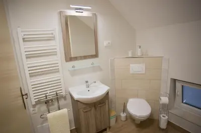 a bathroom with a sink and a toilet and a mirror at APARTMAJI HUBI in Bled