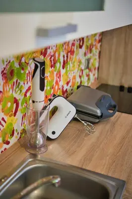 a kitchen counter with a sink and a appliance on it at Apartma Pic Ros in Kojsko