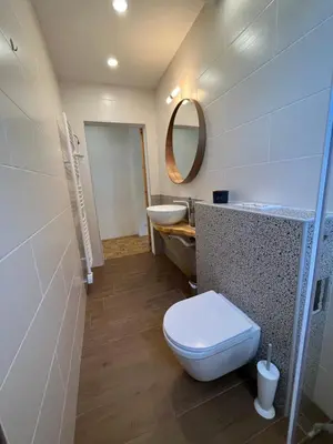 a bathroom with a toilet and a sink and a mirror at Pod Galetovcem in Bohinjska Bela