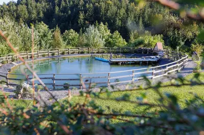 a large pool of water with a wooden fence at Lake Cottage - Koča ob jezeru in Nazarje