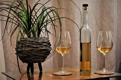 two glasses of wine and a plant on a table at OLD SQUARE HOUSE - HIŠA NA STAREM TRGU in Tolmin