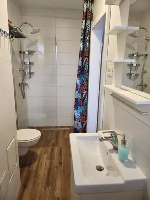 a bathroom with a sink and a toilet and a shower at Apartments Old Town in Ljubljana