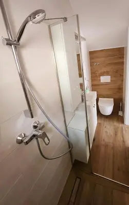 a shower in a bathroom with a toilet at Apartments Old Town in Ljubljana