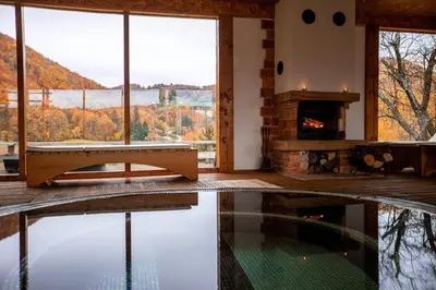 a room with a fireplace and a pool of water at Guesthouse Jelenov greben in Podčetrtek