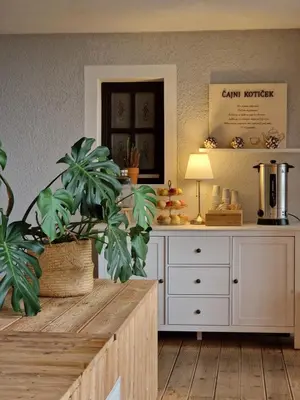 a room with a dresser and a table with a plant at Guesthouse Jelenov greben in Podčetrtek