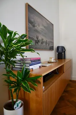 a bedroom with a wooden dresser with a bed and a plant at Riverside apartment in Ljubljana