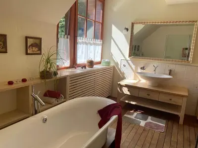 a bathroom with a bath tub and a sink at Villa Dona in Kranjska Gora