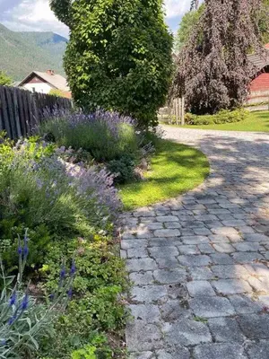 a garden with purple flowers and a stone walkway at Villa Dona in Kranjska Gora