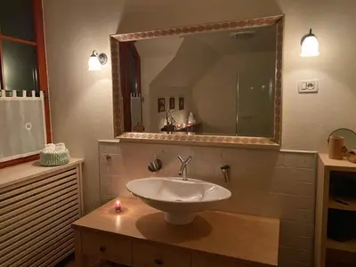 a bathroom with a sink and a mirror at Villa Dona in Kranjska Gora