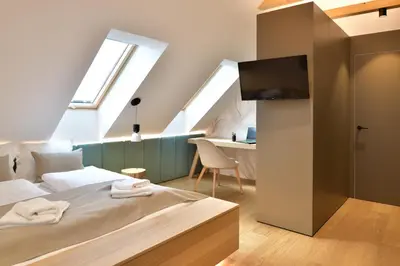a bedroom with a bed and a tv in a attic at Hisa 1624 - Adults Only in Zgornja Kungota