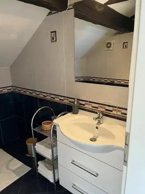 a bathroom with a sink and a mirror at Riverside Villa Avo - Apartment Sara in Spodnja Idrija