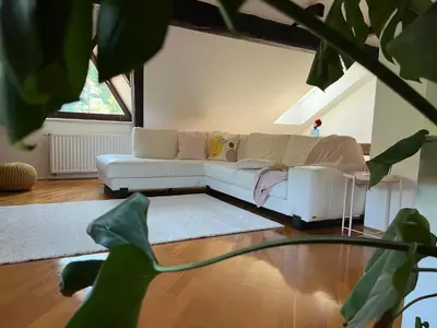 a living room with a white couch and a plant at Riverside Villa Avo - Apartment Sara in Spodnja Idrija