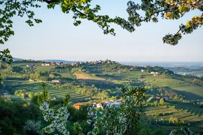a view of a hillside with a village on it at Aria Apartments in Kojsko