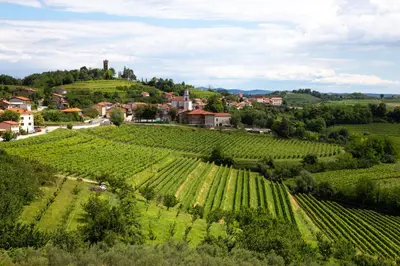 a small village on a hill with green vineyards at Aria Apartments in Kojsko