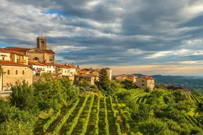 a village on a hill with a bunch of vines at Aria Apartments in Kojsko