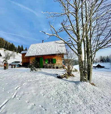 a log cabin in the snow with a tree at Chalet Hike&Bike above Bohinj valley in Bohinj