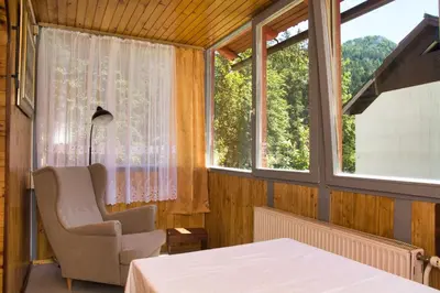 a room with a table and a chair and a window at Apartma Vila Kočna in Zgornje Jezersko