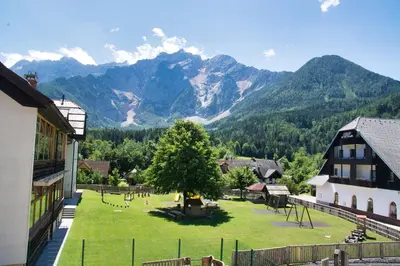 a park with a tree and mountains in the background at Apartma Vila Kočna in Zgornje Jezersko